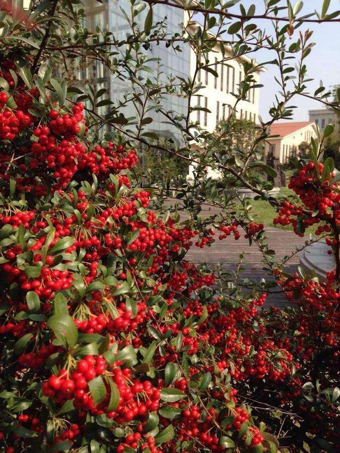 Bauhinia Garden Hotel Qingdao Dış mekan fotoğraf